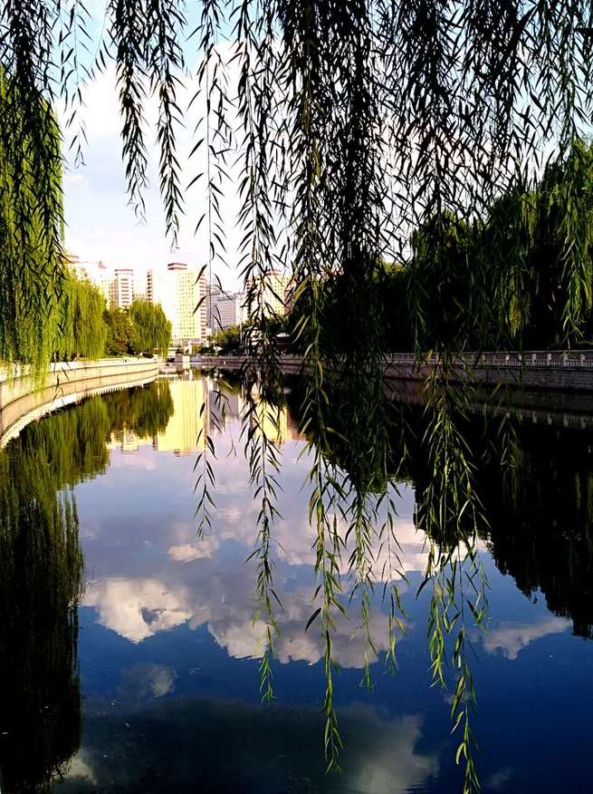 8月4日　火曜日_fororder_1801076088