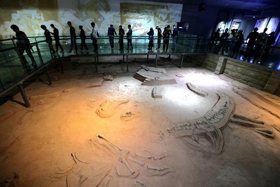 【旅遊資訊-圖片】西峽恐龍文化描繪水墨龍鄉