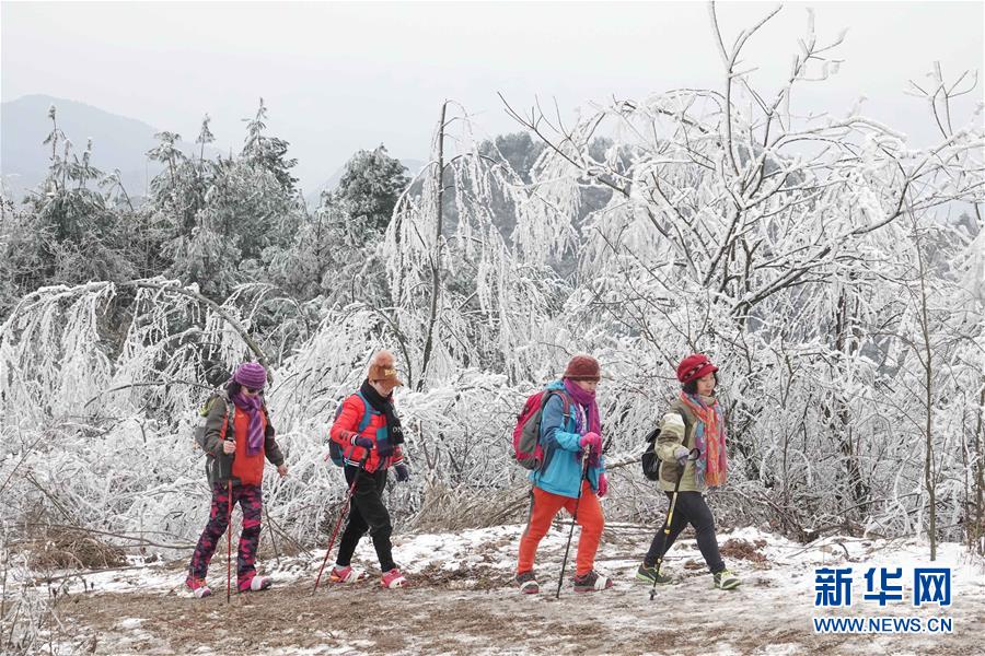 贵阳云雾山雪景醉游人