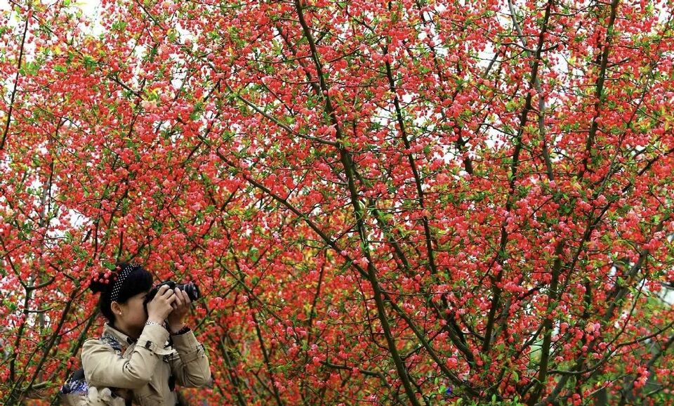 美景山东｜济南植物园：奥妙无穷的植物王国