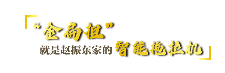 一枝一葉總關情丨讓農民挑上“金扁擔”