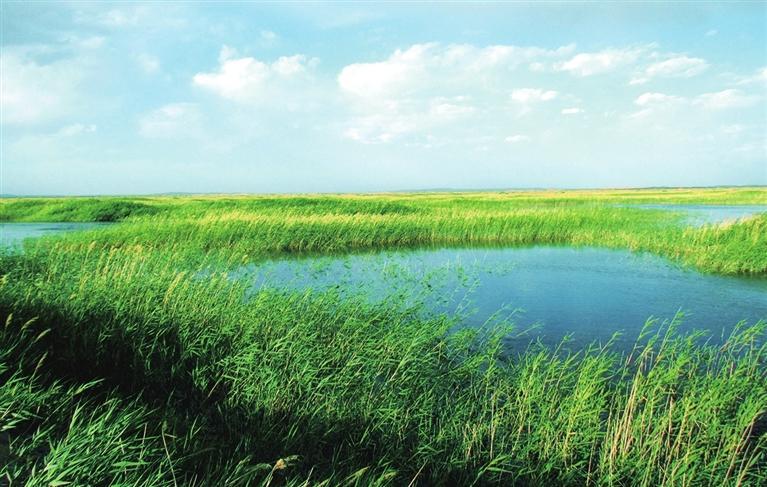 【縣域】實施“四強”行動 做足“五量”文章_fororder_3