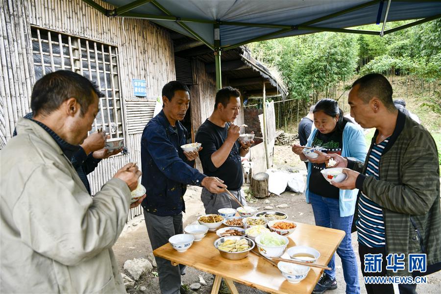 重慶南川:大山深處的採筍人 重慶南川:大山深處的採筍人