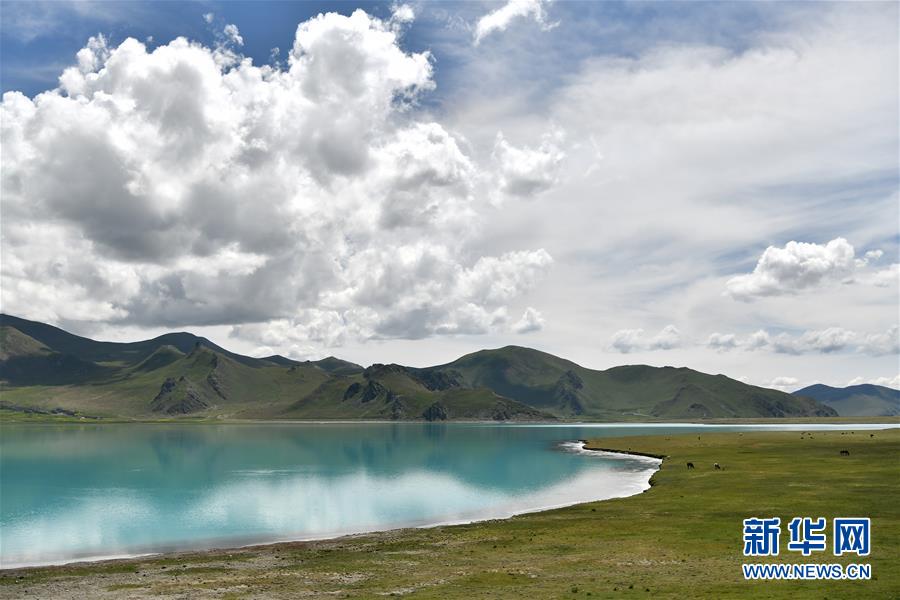 羊卓雍錯秋韻 羊卓雍錯秋韻