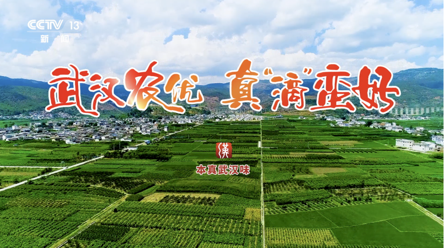 荣登央视 武汉市农产品知名度再提升  区域公共品牌创建驶入快车道