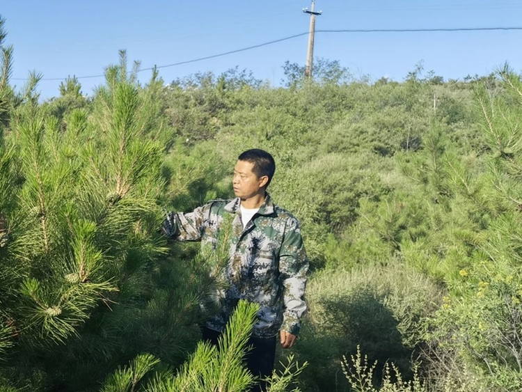 築牢京津冀生態屏障 河北13萬餘名林長守護綠水青山_fororder_1.0