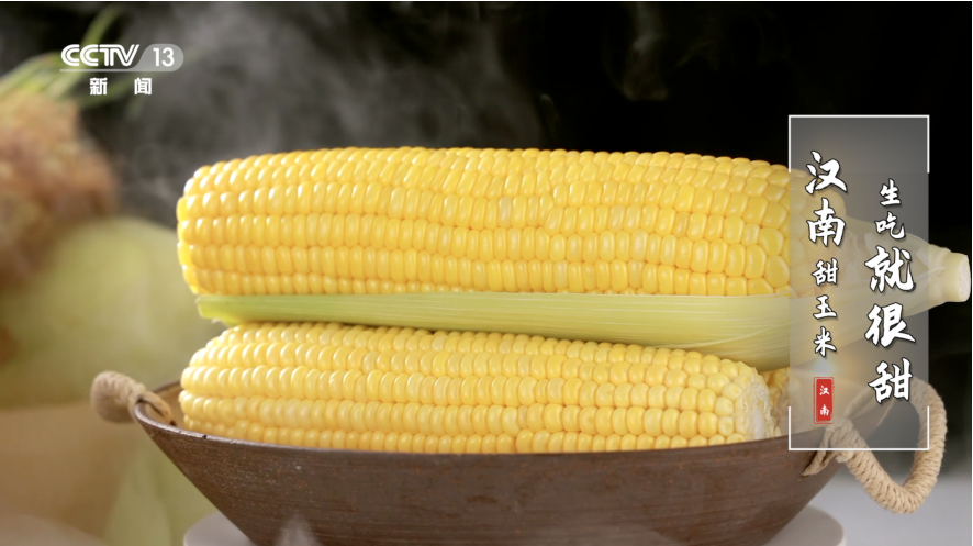 荣登央视 武汉市农产品知名度再提升  区域公共品牌创建驶入快车道