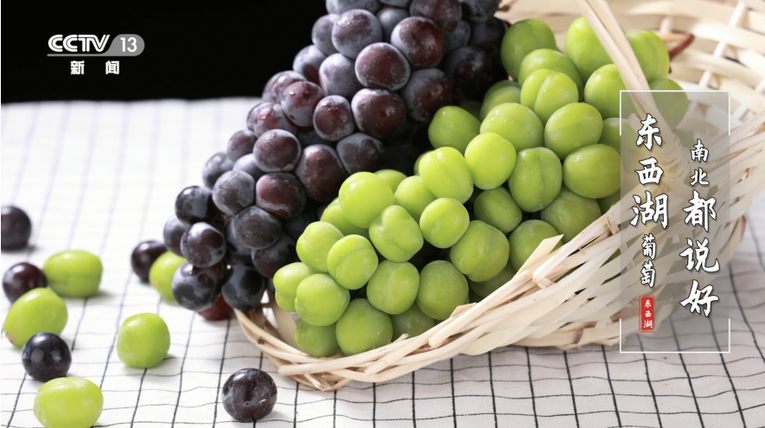 荣登央视 武汉市农产品知名度再提升  区域公共品牌创建驶入快车道