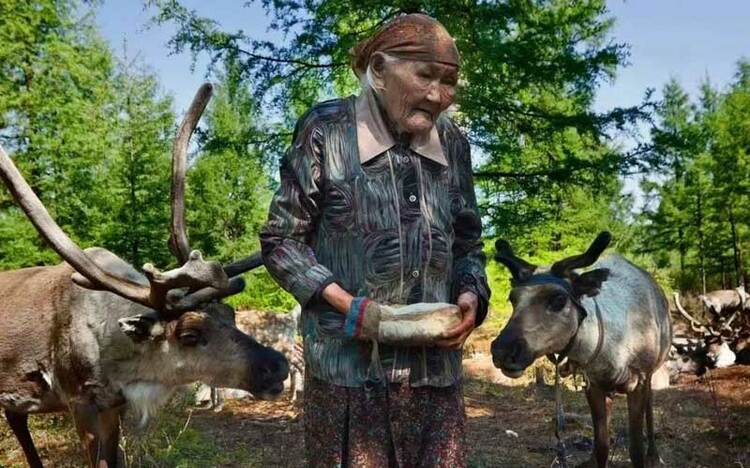 《额尔古纳河右岸》主人公原型玛丽亚·索在驯鹿身边去世 享年101岁_fororder_5