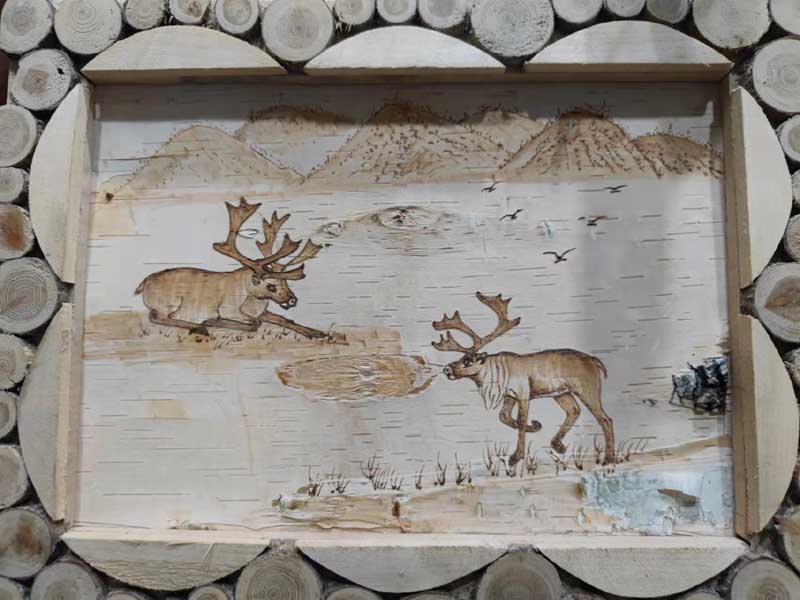 《額爾古納河右岸》主人公原型瑪麗亞·索在馴鹿身邊去世 享年101歲_fororder_11