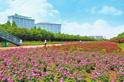 南陽確立建設省域副中心城市“路線圖” “三區一中心一高地”促崛起