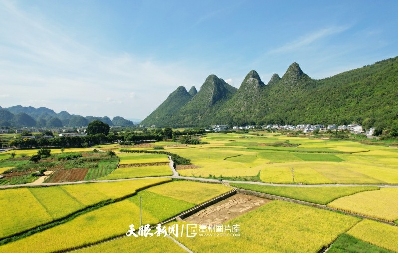 贵州兴义：万峰林下“丰”景美