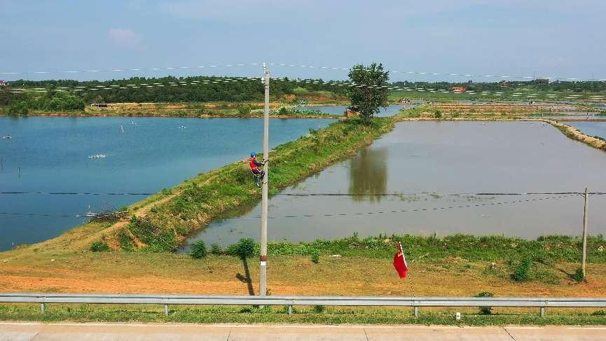 From Fishing to Aquaculture: Fishermen's New Path to Wealth in Jinxian County, Jiangxi Province_fororder_图片3