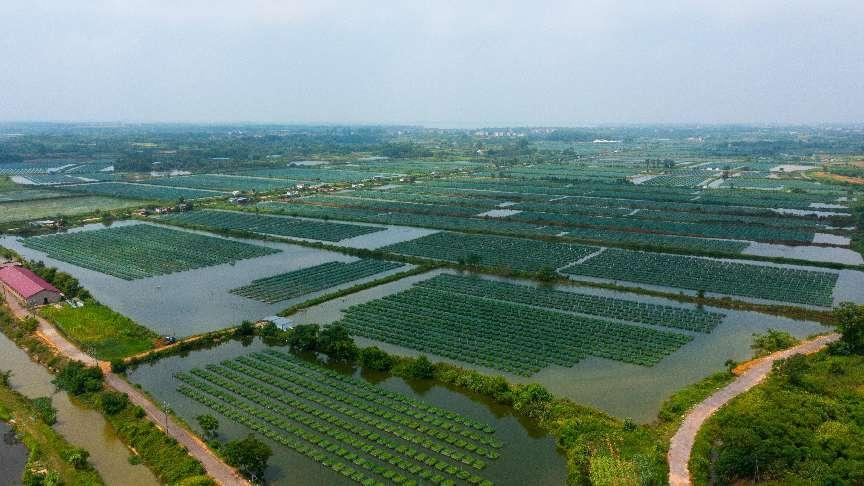 From Fishing to Aquaculture: Fishermen's New Path to Wealth in Jinxian County, Jiangxi Province_fororder_图片1