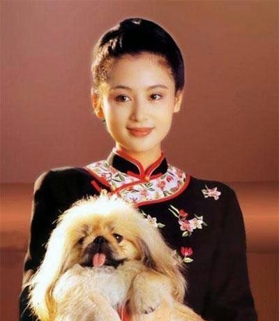 倪妮杨幂刘亦菲范冰冰 女星旗袍造型比美(图)