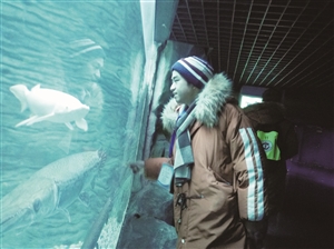 图片默认标题_fororder_image001