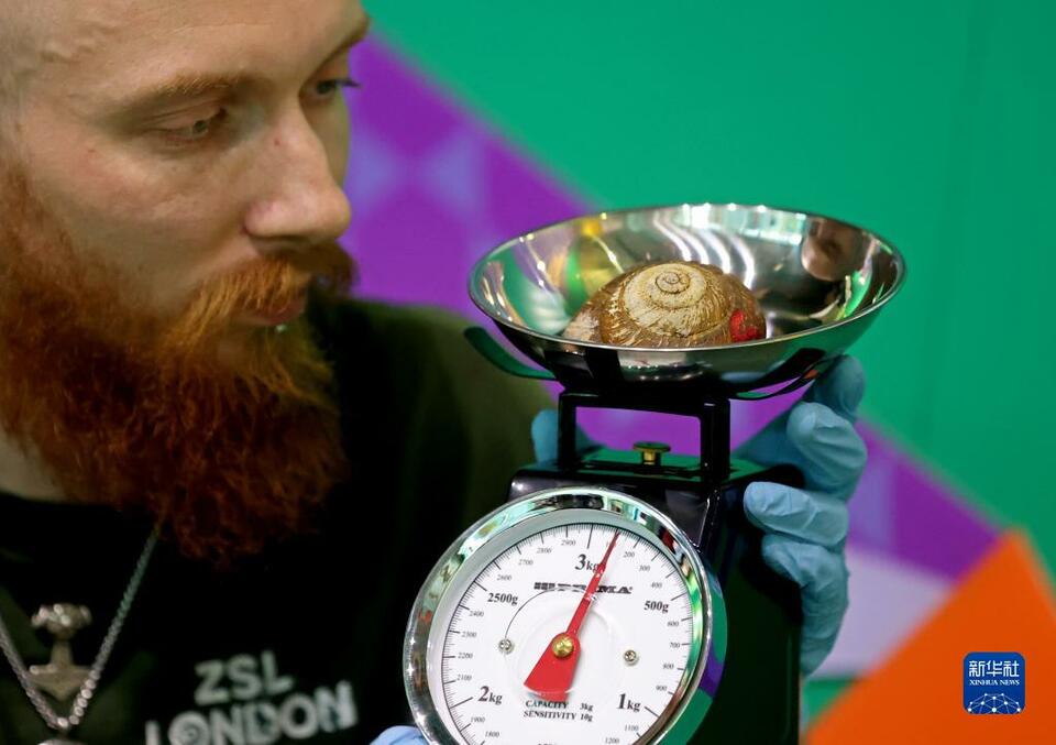 伦敦动物园为动物进行年度体检