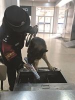 图片默认标题_fororder_m_17_4