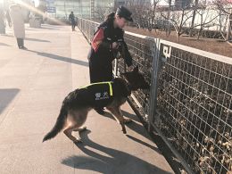 图片默认标题_fororder_m_17_2