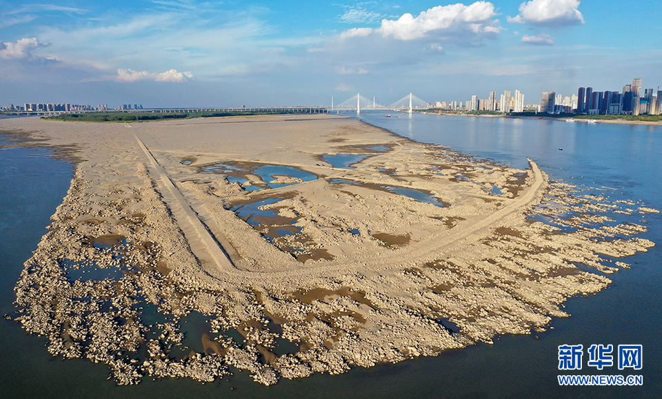 长江武汉段水位持续降低 天兴洲大片滩涂裸露