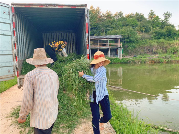 90后海归女硕士返乡当职业农民，认真的吗？