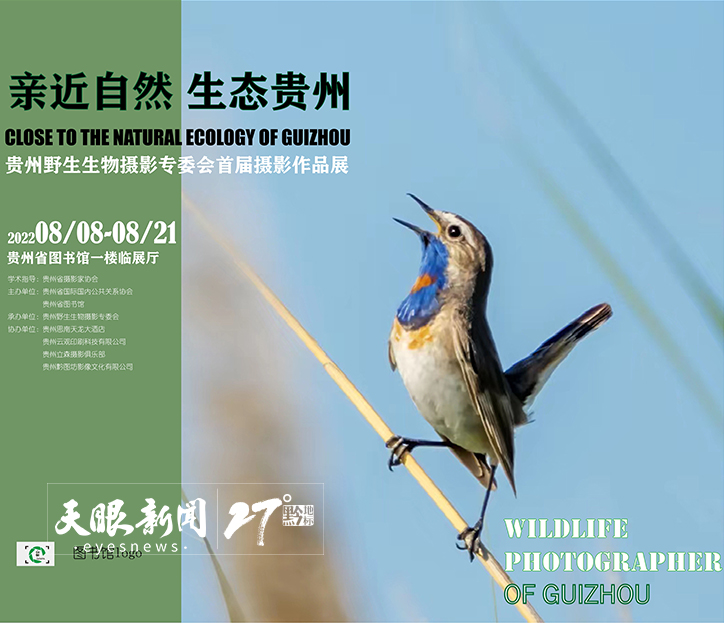 首届贵州野生生物摄影作品展在贵州省图书馆北馆开展 展至8月21日