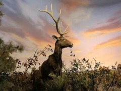 化石揭秘：肿骨中华大角鹿爱吃硬草