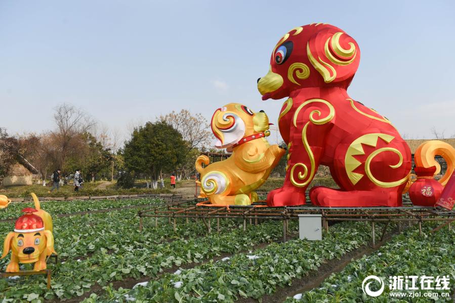 福犬花燈 烏鎮賀春
