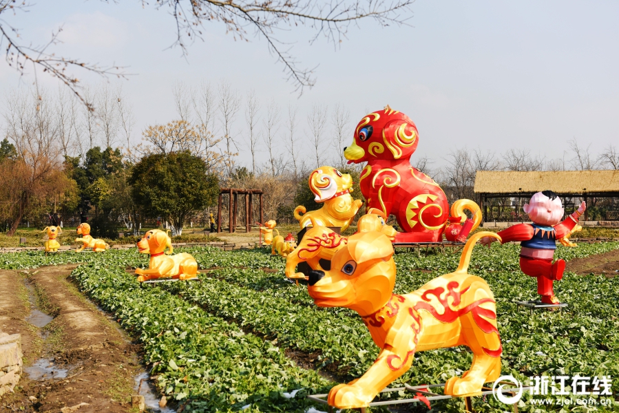 福犬花燈 烏鎮賀春