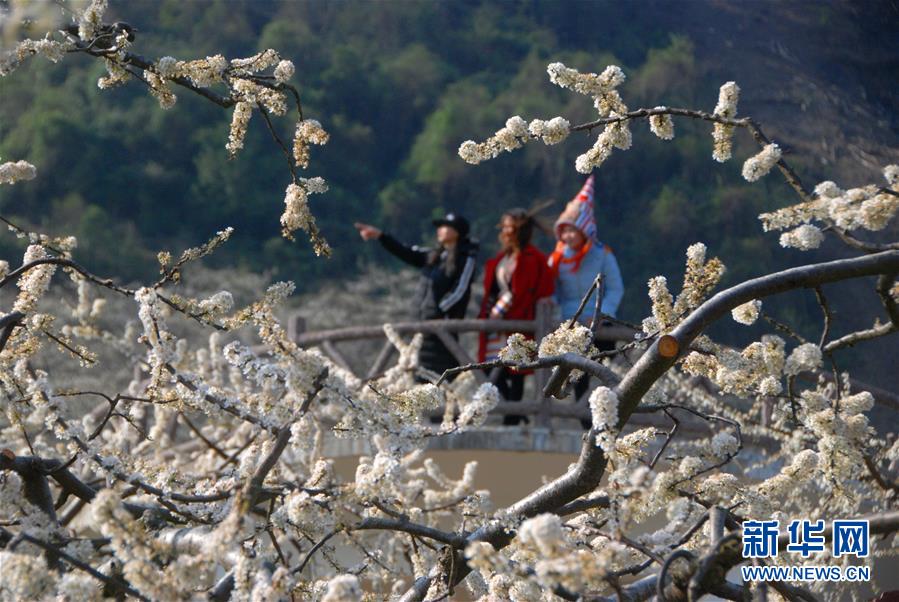 【焦点图】花开春来早