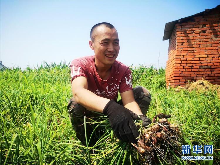 “水通”“路通”促“心通”——黑龍江脫貧攻堅一線見聞