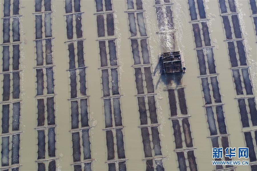 圖片默認標題_fororder_1