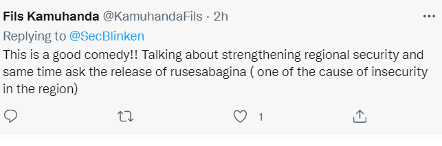 非洲观察丨美国重返非洲“打错算盘” 非洲不做“工具人”