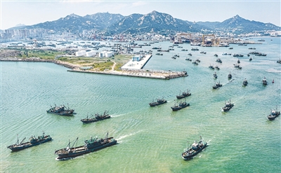 黄渤海海域—— 伏季休渔结束 渔民出海捕捞
