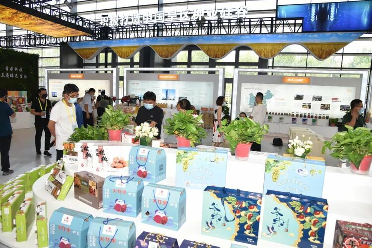 第六屆絲博會在西安開幕 “國家隊”楊淩精彩亮相 科技引領“農”味十足