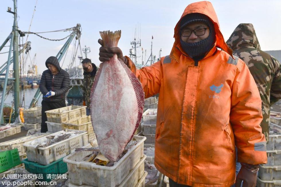 山東榮成：漁民海裏“撈年貨”