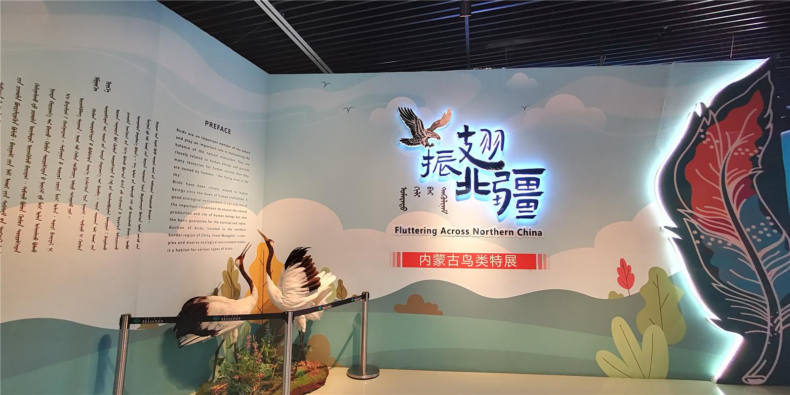 200余种珍奇鸟类标本亮相内蒙古自然博物馆_fororder_3