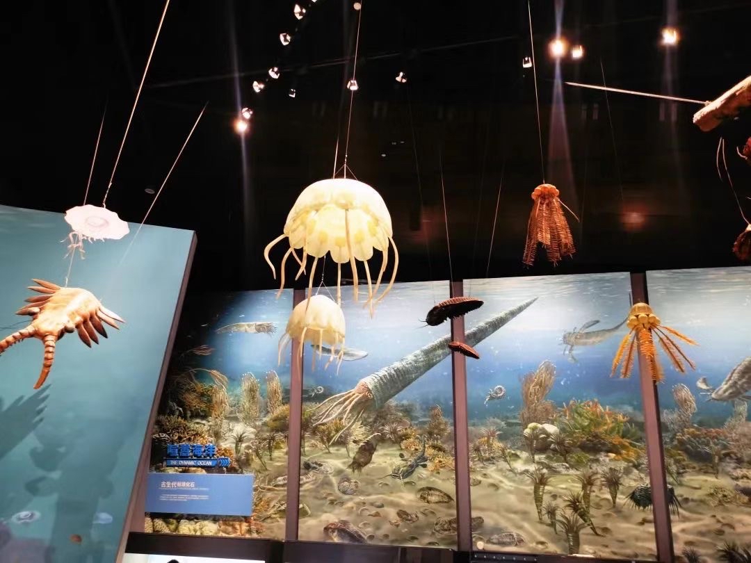 （转载）提前探秘！成都自然博物馆招募“小小探馆员”