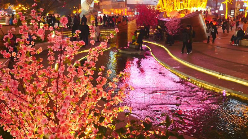 【行游巴渝标题摘要】新春将来到 快去重庆三峡广场看“十里桃花”