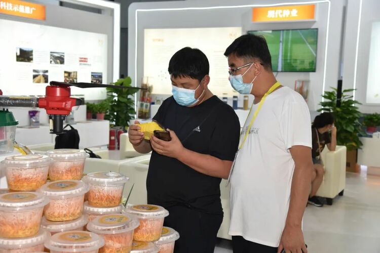第六届丝博会在西安开幕 “国家队”杨凌精彩亮相 科技引领“农”味十足