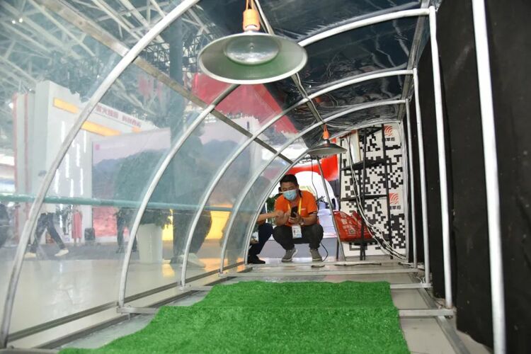 第六屆絲博會在西安開幕 “國家隊”楊淩精彩亮相 科技引領“農”味十足