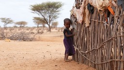 全球连线 | 肯尼亚遭遇40年最严重干旱 超400万人面临粮食短缺