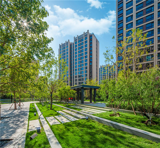 大悦城控股北京公司：探路“大悦式”城市更新