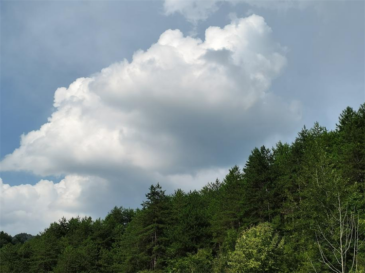 陕西汉中 | 生物多样性保护成果显著 汉中市生态文明建设迈上新征程_fororder_图片6_副本1