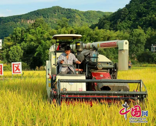 泸州合江：宜机化改造助农丰收