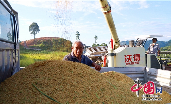 泸州合江：宜机化改造助农丰收