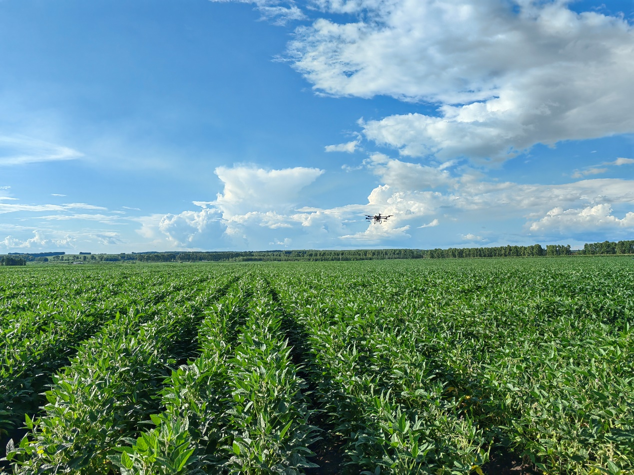 黑河：打造中國最具活力的新興大豆産業基地_fororder_圖片3