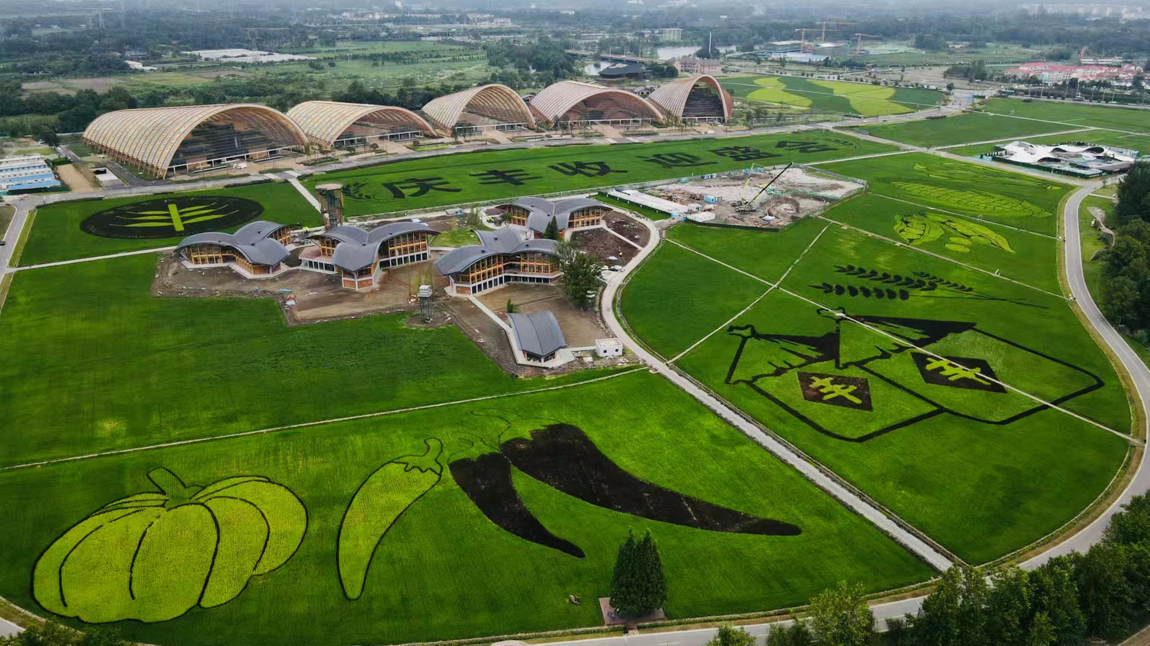 （转载）今秋来天府农博园 看全川最大规模稻田画