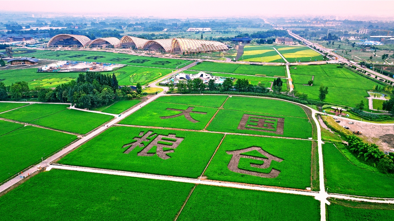 （转载）今秋来天府农博园 看全川最大规模稻田画