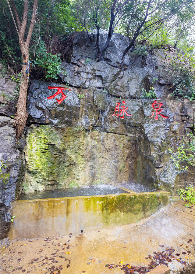 山东好景｜济南深山里的“泉水村庄”